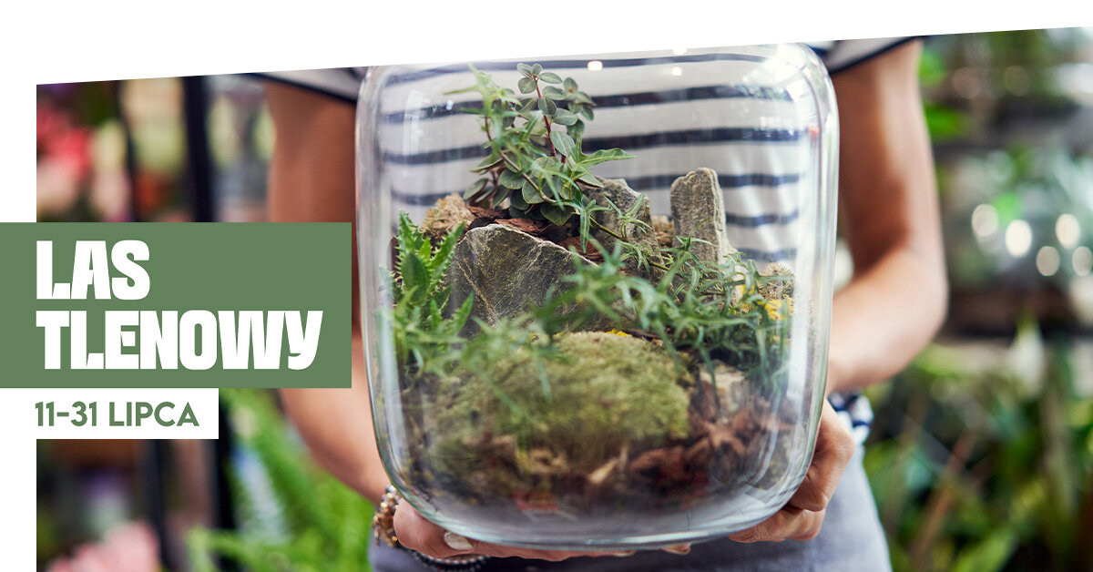 ,,Las Tlenowy” w Poznań Plaza – wyjątkowa przestrzeń przyrodnicza w centrum miasta