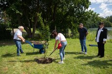 _mg_9259-jpg