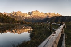 idm07659almo-jpg