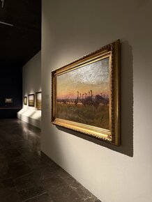IMG_7794.jpg