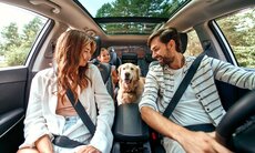 adobestock_460604425-jpeg