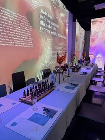 IMG_7707.jpeg
