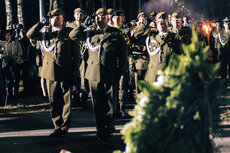 swp_-jpg