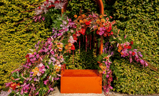 piknik2024_instalacje-kwiatowe_fot_zamek-krolewski-w-warszawie-png