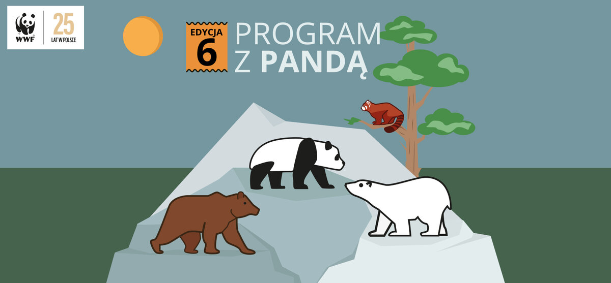 Program z Pandą - bezpłatne wsparcie WWF dla nauczycieli i nauczycielek w realizacji podstawowych kierunków polityki oświatowej państwa 2025/2026