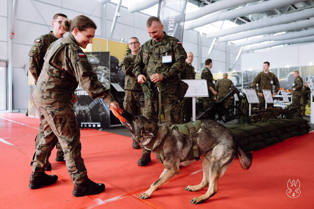 Terytorialsi na MSPO 2025 – „Wspaniała Dwunastka” w centrum uwagi