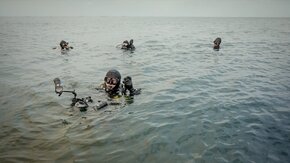 Seagrass-1.jpg