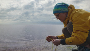 Seagrass-4.jpg