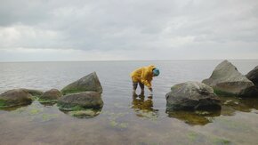 Seagrass-6.jpg