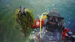 Seagrass-28.jpg