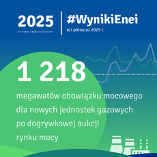wynikienei-w-pierwszym-polroczu-2025-r_-infografika-4-jpg
