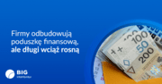 Grafika_poduszka finansowa firm