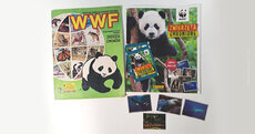 panini-header-ip-jpg