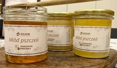 ii-miodobranie-w-kghm-4-jpg