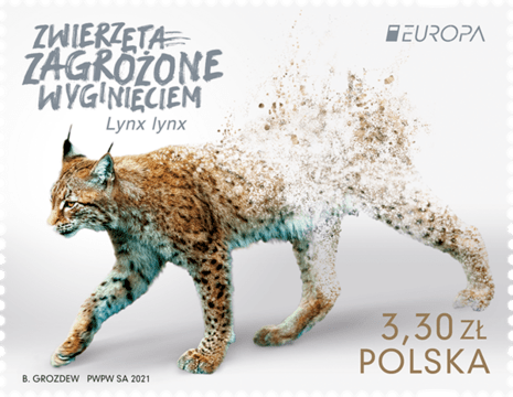 2021 — „Zwierzęta zagrożone wyginięciem” (ryś euroazjatycki) 