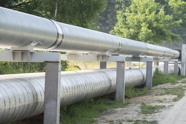 0001_TAURON NITKA 00061.jpg