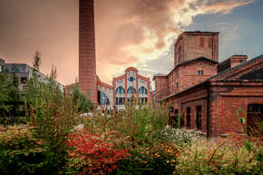 PGF_MG_3799-Enhanced-NR-Edit_FullRes.png