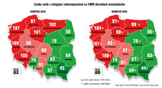 mapka_dluznicy-jpg