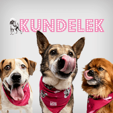 kundelek-1200x1200-png