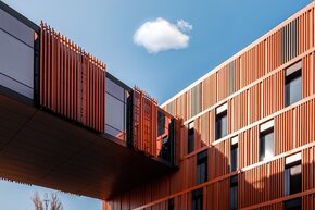 Fuzja Patryk Gradys 3.JPG