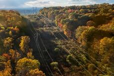 so_sieci-dystrybucyjne-jpg