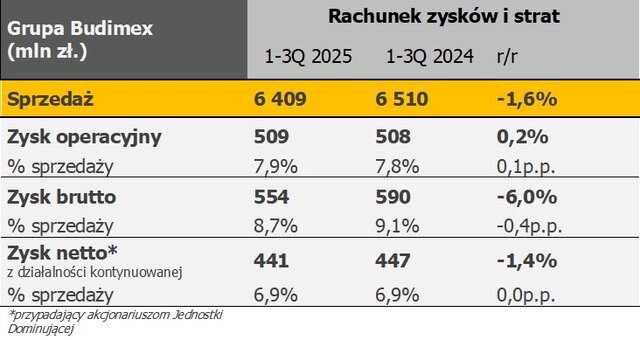rachunek zysków i strat