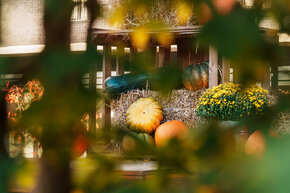 PGF_DSC2468_Patryk Grądys_2048.jpg