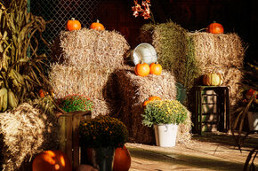 PGF_DSC2482_Patryk Grądys_2048.jpg