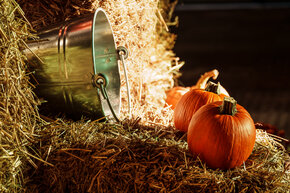 PGF_DSC2492_Patryk Grądys_2048.jpg