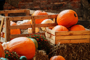 PGF_DSC2493_Patryk Grądys_2048.jpg