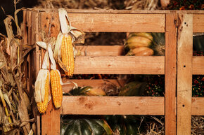 PGF_DSC2494_Patryk Grądys_2048.jpg