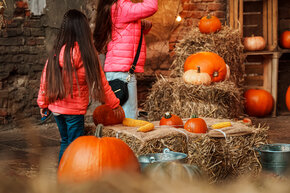 PGF_DSC2501_Patryk Grądys_2048.jpg