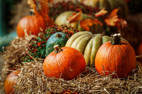 PGF_DSC2506_Patryk Grądys_2048.jpg