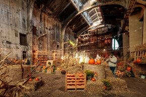 PGF_MG_2259_Patryk Grądys_2048.jpg