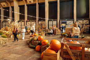 PGF_MG_2273_Patryk Grądys_2048.jpg