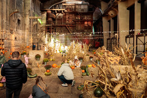 PGF_MG_2276_Patryk Grądys_2048.jpg