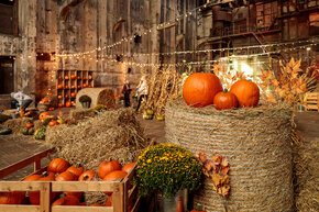 PGF_MG_2280_Patryk Grądys_2048.jpg