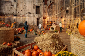 PGF_MG_2281_Patryk Grądys_2048.jpg