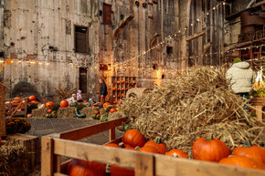 PGF_MG_2287_Patryk Grądys_2048.jpg