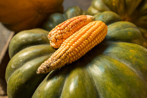 PGF_MG_2294_Patryk Grądys_2048.jpg