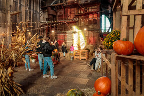 PGF_MG_2302_Patryk Grądys_2048.jpg