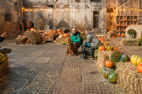 PGF_MG_2304_Patryk Grądys_2048.jpg