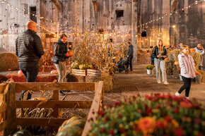 PGF_MG_2306_Patryk Grądys_2048.jpg