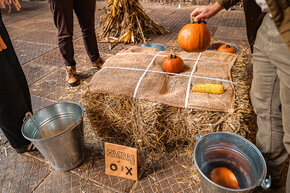 PGF_MG_2310_Patryk Grądys_2048.jpg