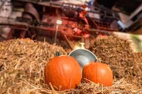 PGF_MG_2313_Patryk Grądys_2048.jpg