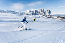 c-harald-wisthaler-jpg