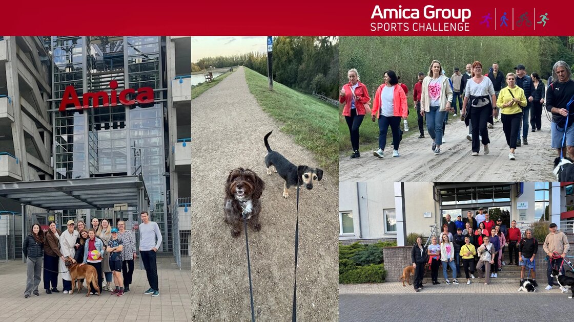 Sport, zaangażowanie i pomoc – zakończyła się akcja Amica Group Sports Challenge 2025