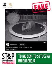kampania-drapieznicza_niedzwiedz-na-trampolinie-2-jpg