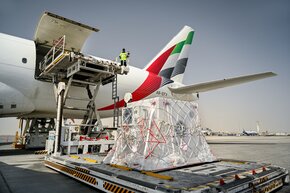emiratesskycargotransportedarabsatellite813.jpg