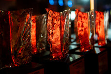 gala_pr_wings_2025-5-jpg